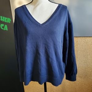 Everlane Cotton Long-Sleeve V-Neck Crop Sweater